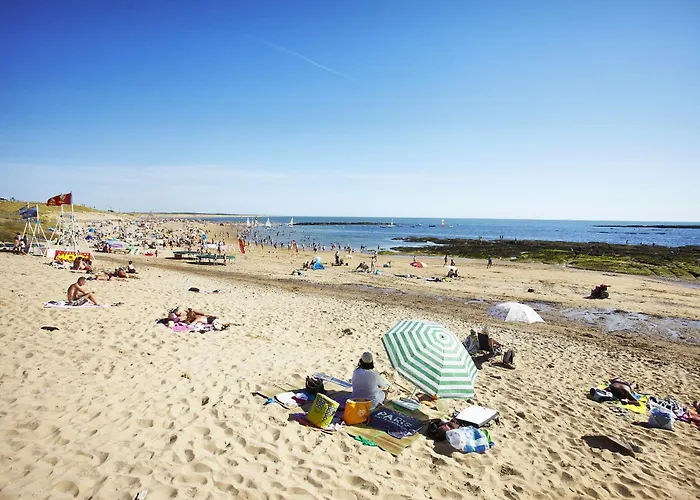 Le De L Auzance - Piscine & Prázdninový dům Brem Sur Mer