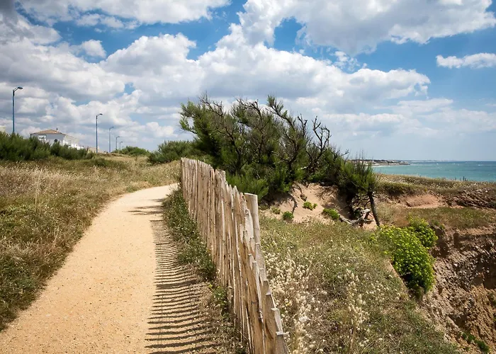 Le De L Auzance - Piscine & Brem Sur Mer